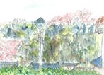 窓から望む山桜